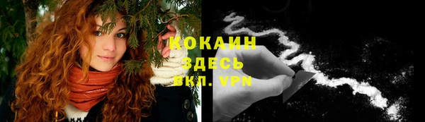 PSILOCYBIN Волоколамск