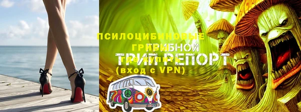 мет Вяземский