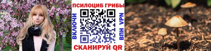 Галлюциногенные грибы мухоморы  Гуково 